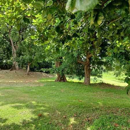 Bungalow Papaye Пуэнт-Нуар Экстерьер фото